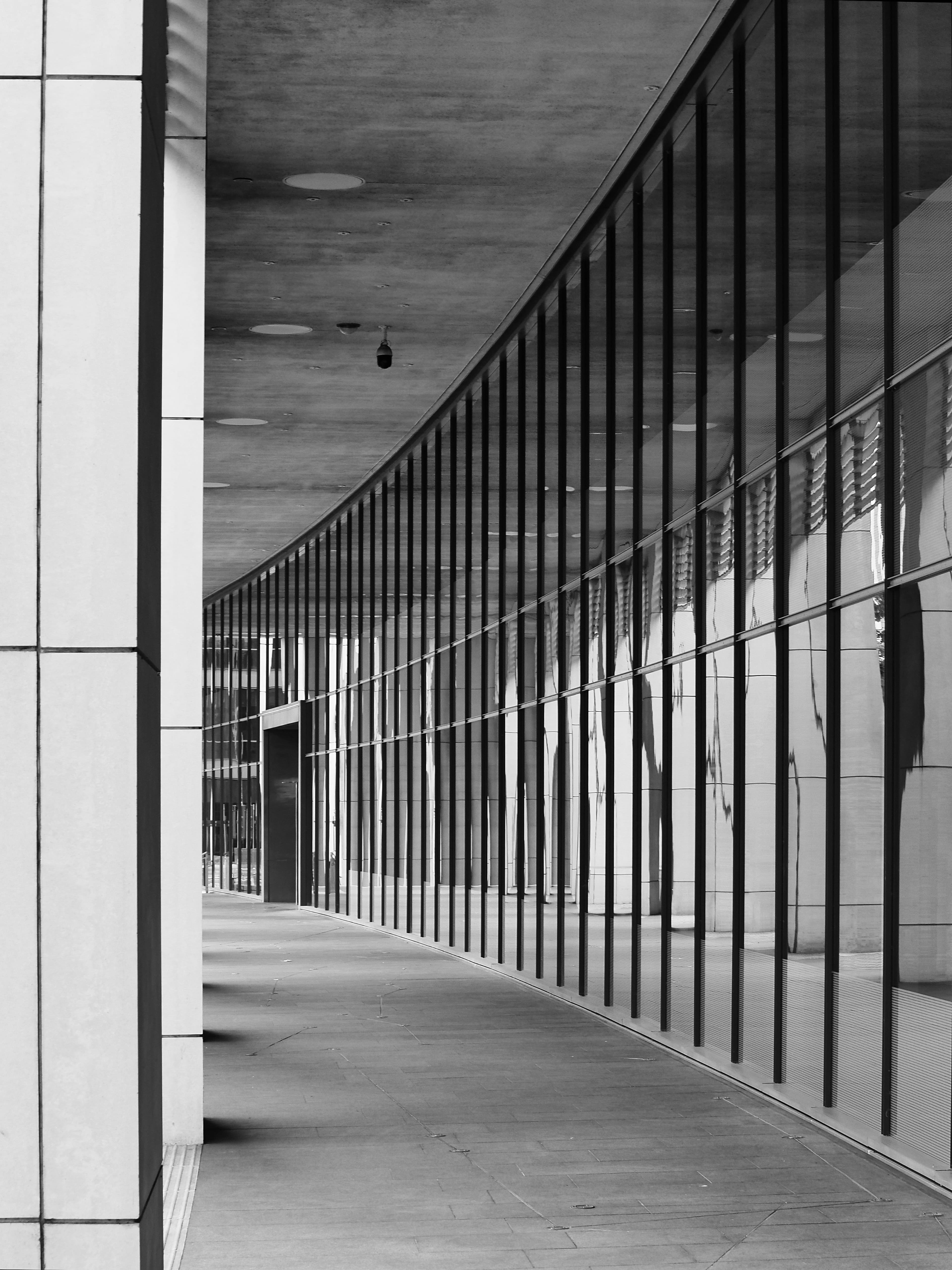 Modern black-and-white architectural corridor, with glass and concrete structure and vertical lines in perspective